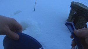 Отличная рыбалка на Таёжной реке
