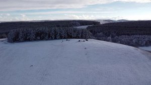 Кисловодск с дрона