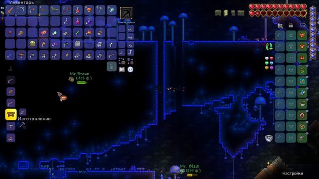 в террарию заходят мальчики-мажоры смотреть онлайн