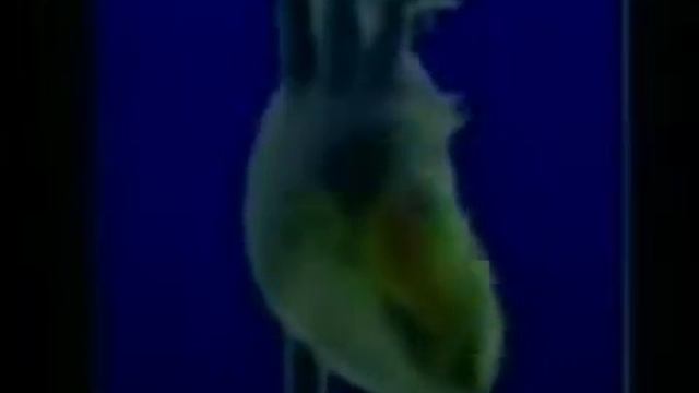 О пользе щелочной воды