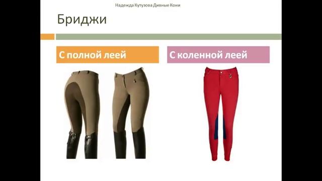 Экипировка всадника / Снаряжение для верховой езды