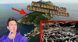 Как выжить на змеином острове?