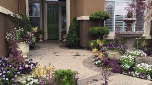 КРАСИВО ОФОРМЛЕННЫЕ ДВОРЫ ЧАСТНЫХ ДОМОВ