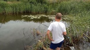 Отдых. Озеро Освейское