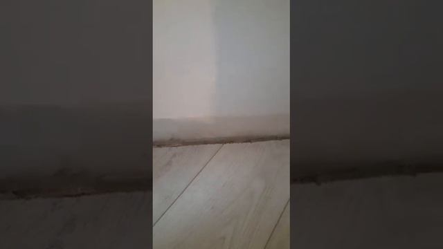 Почему в первую очередь надо сначала делать пол, а потом обои. смотреть онлайн