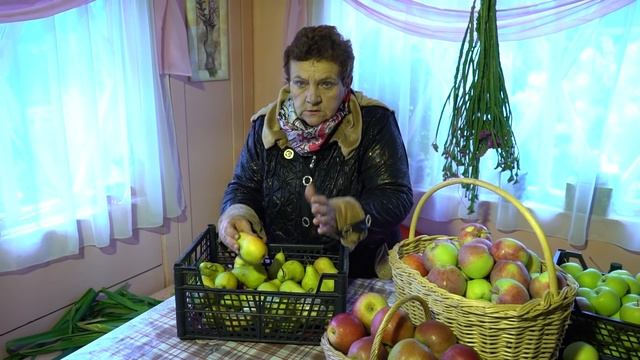 СЕКРЕТЫ ХРАНЕНИЯ ЯБЛОК И ГРУШ. Простые правила для лучшего хранения
