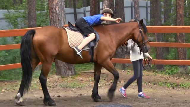 Добрая лошадка