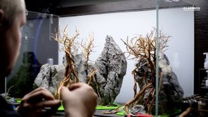 #Акваскейп 40л. (Скалистый лес ) - 1 #Хардскейп.