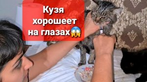 #3 ПРОГРЕСС У КУЗИ! ОПЯТЬ?!
