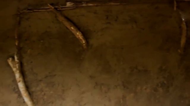 Примитивные технологии Постройка дома Хоббита не используя инструменты смотреть онлайн