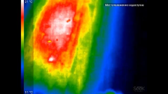 Тепловизор на пасеке. Seek Thermal смотреть онлайн
