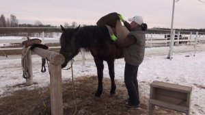 Вестерн заездка. Урок 1.