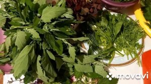 ЛЕБЕДА, лекарство и еда!