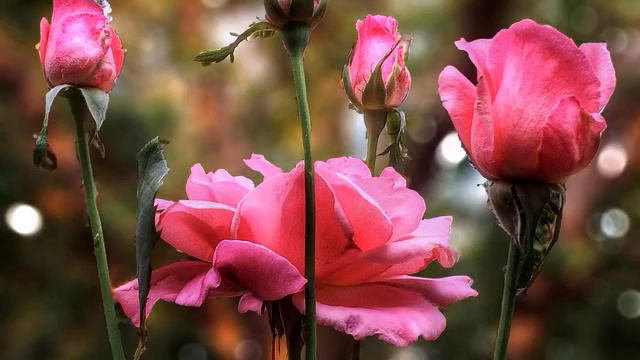 Слушать самую лучшую песню в машину онлайн смотреть онлайн