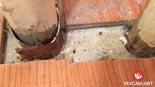 Закрепляющая обработка (Обработка от клопов в СПБ 2021 6) смотреть онлайн