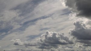 Деревянная чаша из карагача и граба