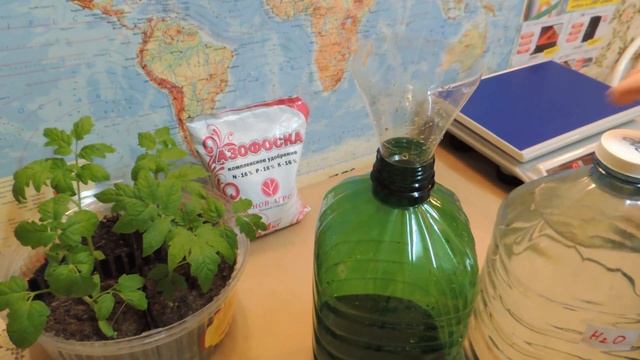 Подкормка для любых растений: NPK + настой Иван-чая (fertilizer). Часть 1. смотреть онлайн