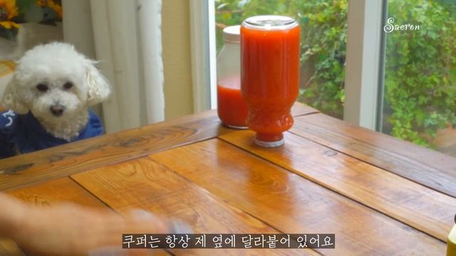 ? 20가지 재활용 아이디어와 식재료 보관방법 ? 토마토 캔닝 смотреть онлайн