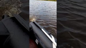 Ямаха 3, лодка 280, выход на глис