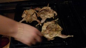 Кеклик табака.От убоя до стола.