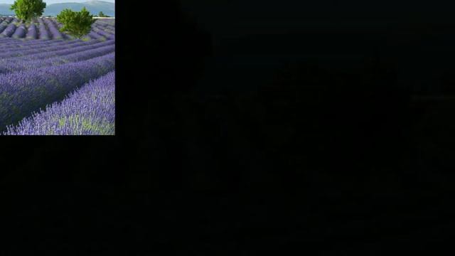 Aesthetic lavender wallpapers ideas and collection -Wallpaper ideas and collection смотреть онлайн