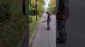 Уборка парка воздуходувкой Дэу Дабл 300