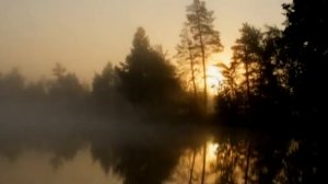 Среда обитания. «Озеро Эмтор – самое крупное озеро в Нижневартовском районе»