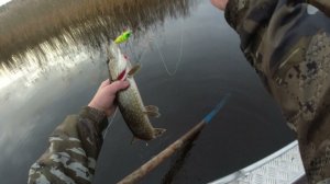 Долавливаю Миражом за Драгой.