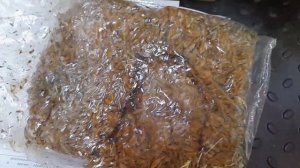 ⚠️НОВИНКА! Живая триходерма для Вашей ситифермы?