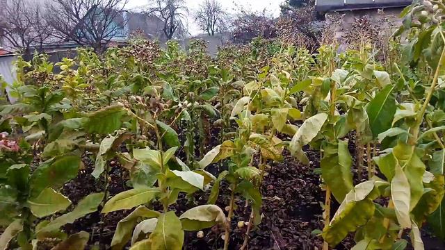 Закрытие сезона. 2022 год. смотреть онлайн