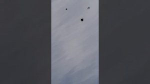 Голуби, Воронежская область, Новохоперск