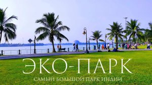 Калькутта: Эко-парк | Самый большой городской парк Индии ? Прогулка на катере ?♀️ вечером