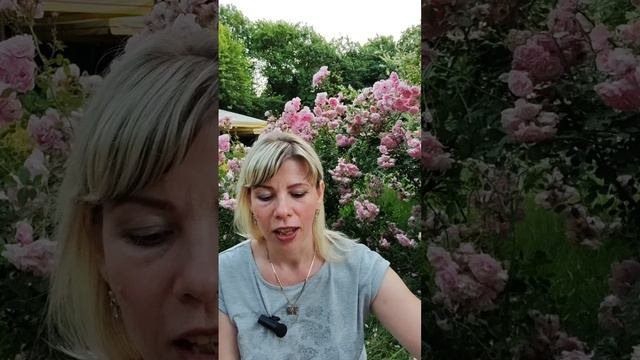 СОВЕТ- ПРЕДОСТЕРЕЖЕНИЕ !