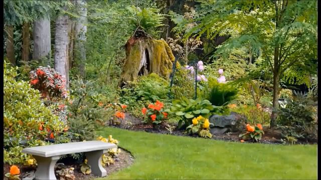 Present Perfect fill in the blank Flown Blown grown known thrown drawn etc смотреть онлайн