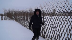 Русская ива. Зимний видео-обзор. Живая плетеная изгородь.