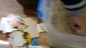 Развитие ребенка от года до пяти.