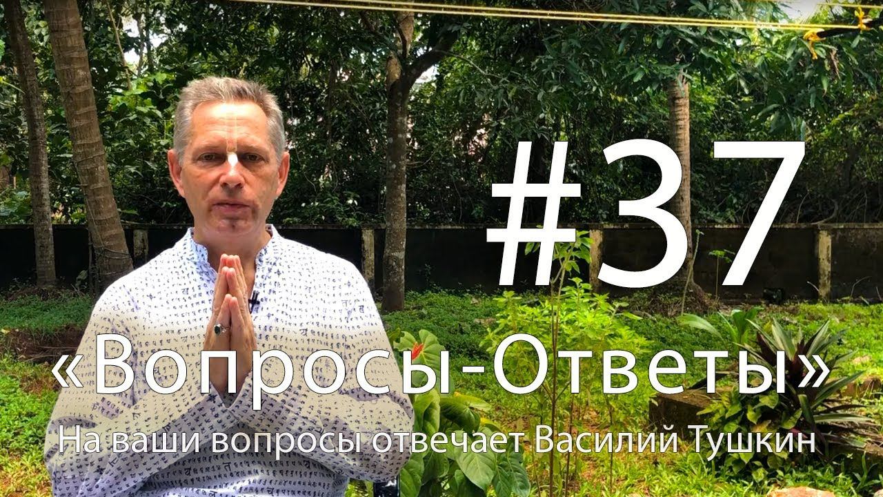 Вопросы-Ответы Выпуск 37 - Василий Тушкин отвечает на ваши вопросы