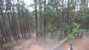 ЛАЙТ ЭНДУРО ИЮНЬСКИМ ВЕЧЕРОМ  (Minsk RX450, Minsk X250, BSE Z6, Avantis Enduro 250)