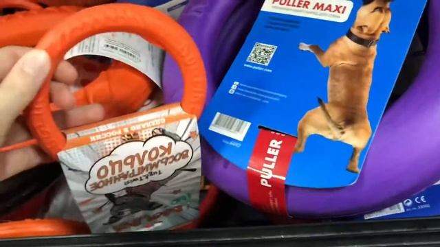 DOGVLOG зоопокупки | Щенок Йорка | первый день дома | влог смотреть онлайн