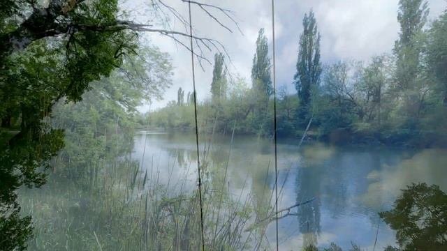 Солнечный остров - парк Краснодар 2022. Прогулка по парку без слов. Река Кубань, люди и звуки. Влог