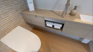 Японский унитаз-биде. Умный японский туалет. TOTO/Panasonic.