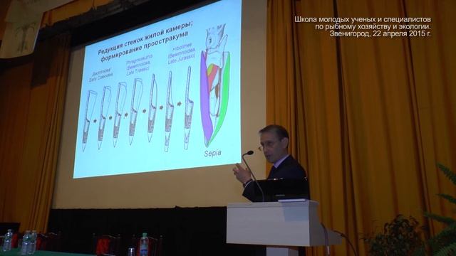 Видеолекция: "Эволюция жизненных форм головоногих моллюсков" смотреть онлайн