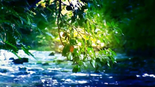 Разлилась речка быстрая смотреть онлайн