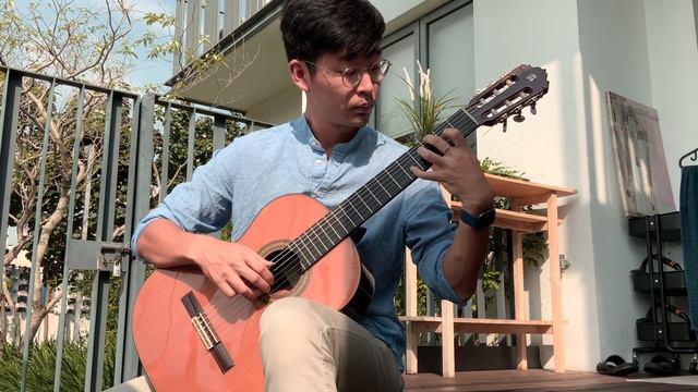 Le Cygne (The Swan - The Carnival of the Animals) on guitar - played by Shao смотреть онлайн