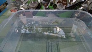 Моя оснастка на пиленгаса (пеленгаса или пелингаса). Бердянск. Азовское море 2020