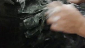 4ак помыть тибетского мастифа