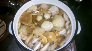 Что делать с маслятами