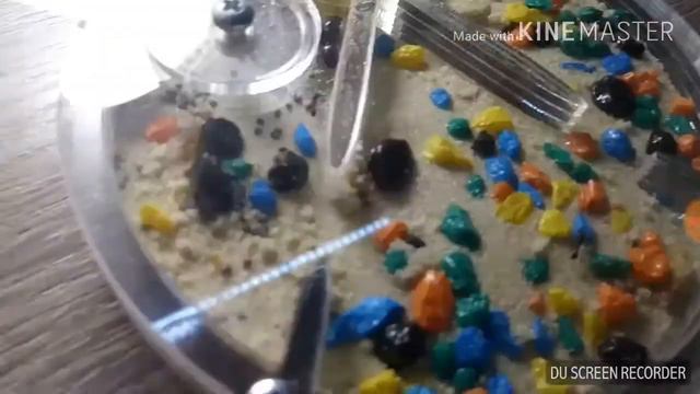 ГОСПОДИ ЭТО ЖЕ МУРАВЬИ!！! НАСТОЯЩИЙ МУРАВЕЙНИК У МЕНЯ ДОМА！! смотреть онлайн