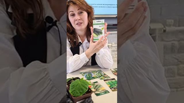 Сорта и гибриды огурца. смотреть онлайн