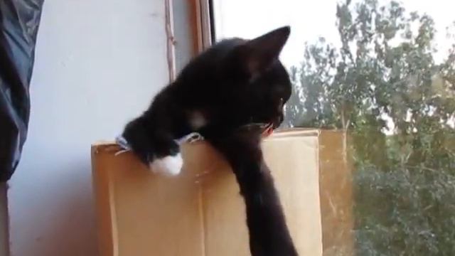 умавание))) смотреть онлайн